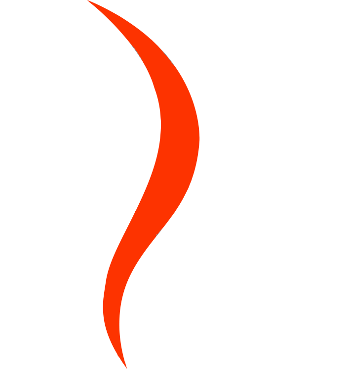 UCSC Logo